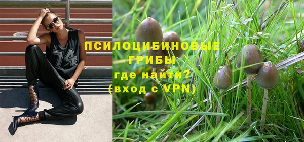 дурь Нефтекумск