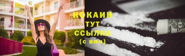 прущий лед Нея
