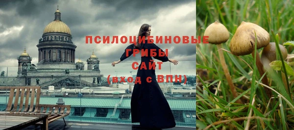 крисы Абдулино