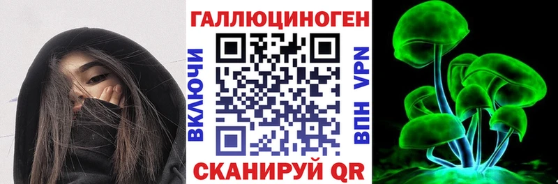 Галлюциногенные грибы Psilocybe  Иланский 